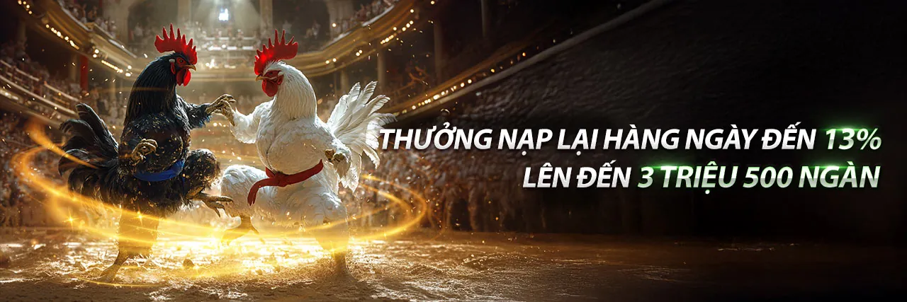 Hình ảnh chính của Blog gd86 bet
